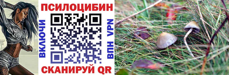 Галлюциногенные грибы мицелий  Купить где  Старая Русса 