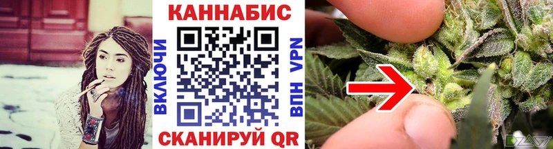Купить где  Старая Русса  Канабис сатива 